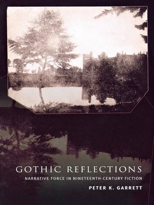 cover image of Gothic Reflections